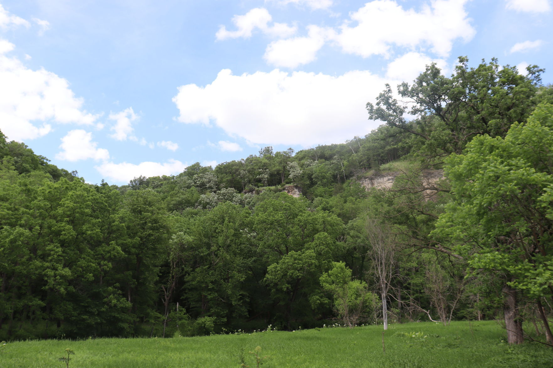 Hills